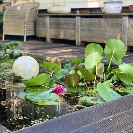 - Nisa 1895 アパート セリンゲン