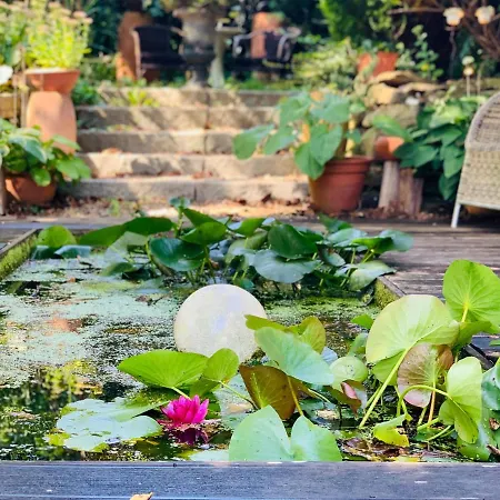 - Nisa 1895 セリンゲン