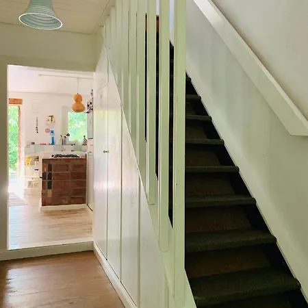 アパート - Nisa 1895 セリンゲン