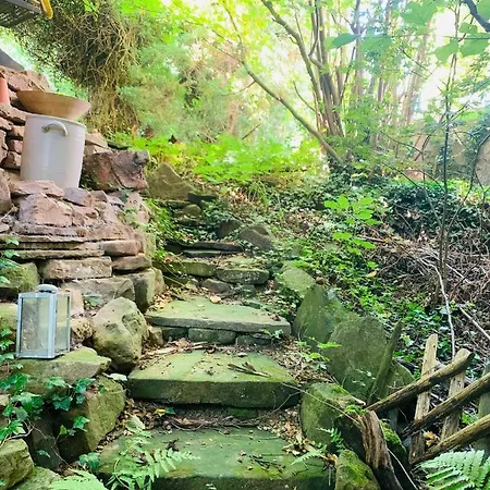 - Nisa 1895 アパート