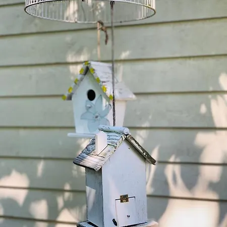 - Nisa 1895 アパート セリンゲン