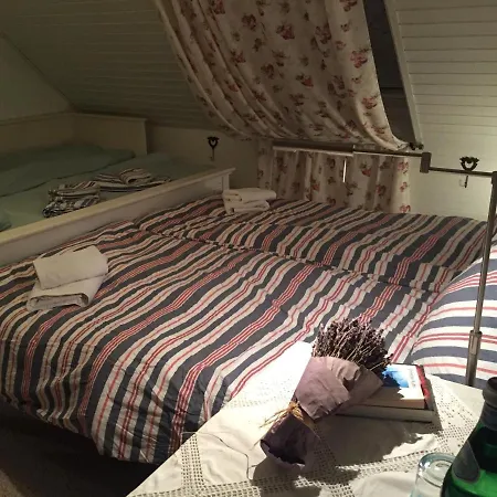 アパート - Nisa 1895 セリンゲン