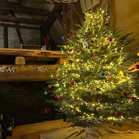 アパート - Nisa 1895 *