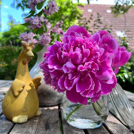 - Nisa 1895 * セリンゲン